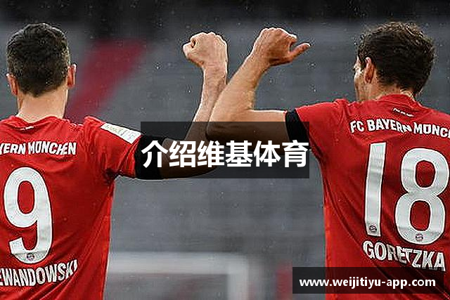 介绍维基体育